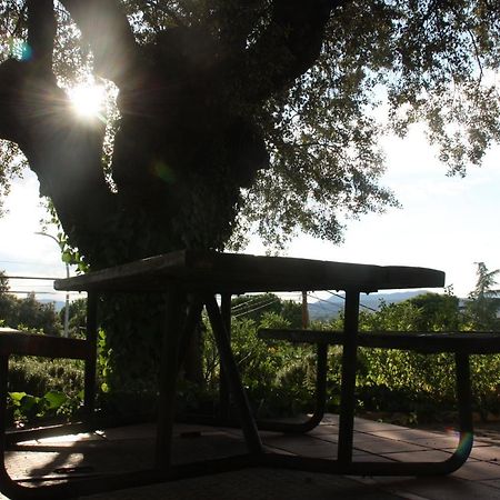 Jaramundi Βίλα Villa del Prado Εξωτερικό φωτογραφία
