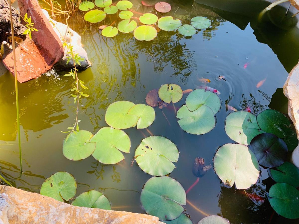 Jaramundi Βίλα Villa del Prado Εξωτερικό φωτογραφία